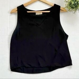 Aritzia Babaton Sleeveless V-neck Tank in Black